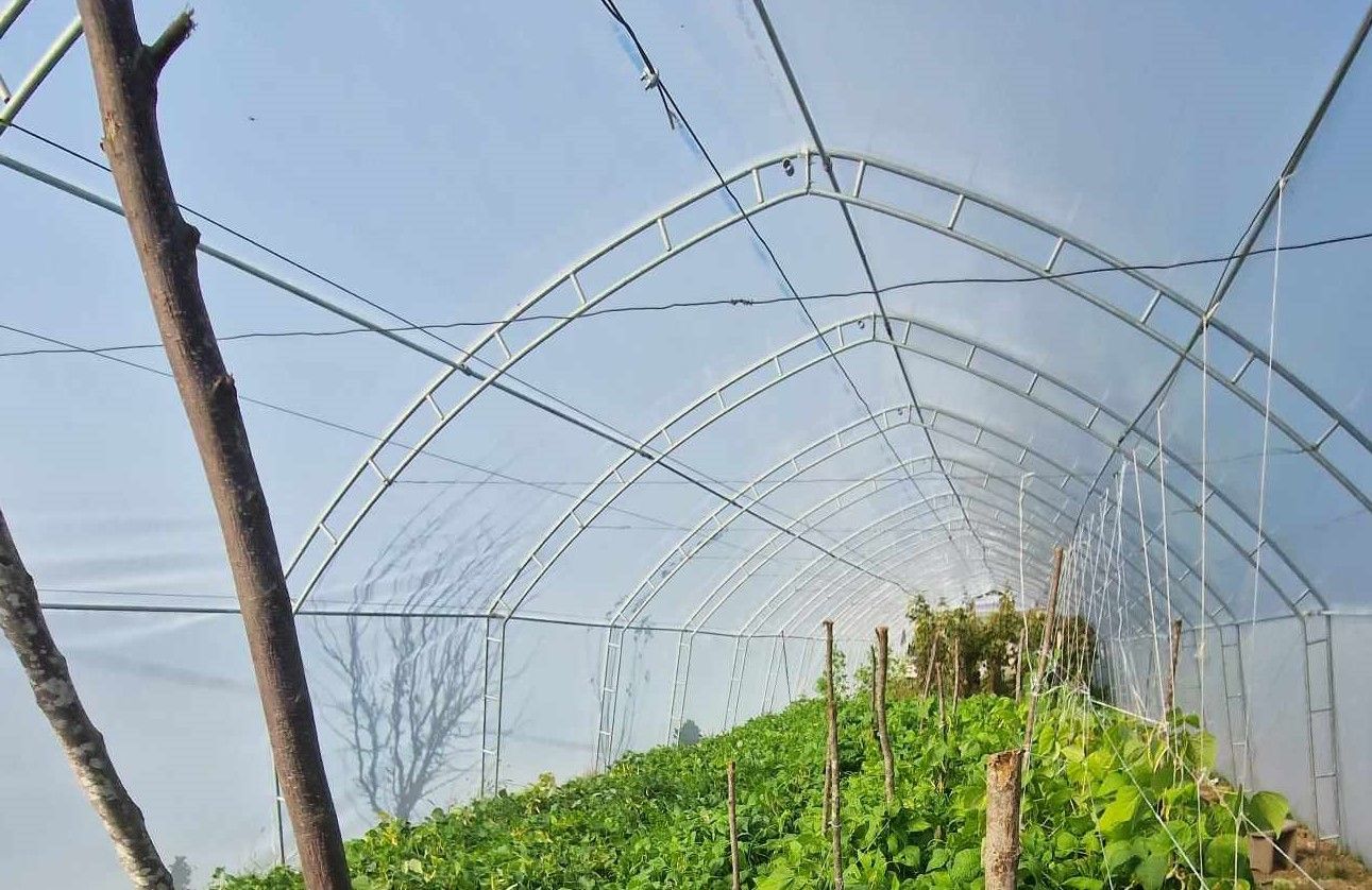Konkurs za nabavku plastenika za poljoprivredna gazdinstva sa teritorije opštine Dimitrovgrad u 2024. godini